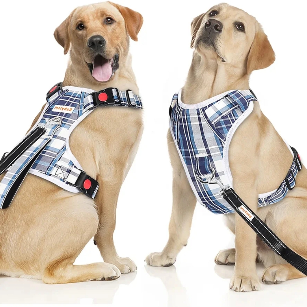 Babyltrl new No Pull dog Harness /leash and collar